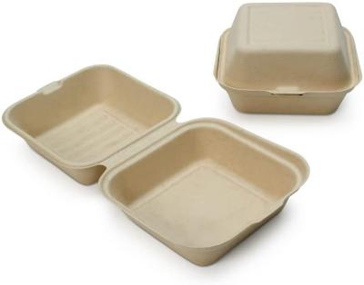 China Transitional Sugarfiber 6x6 Inch Compostable Square Hinged Container Burger Box Make To Go Single Compartment Clamshell Takeout Box for sale