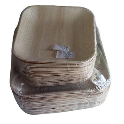 China 10 Inch Disposable Eco-Friendly Disposable Quality Biodegradable Square Export Amazon Areca Nut Palm Leaf Dishes For Party Wedding for sale