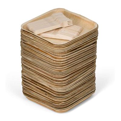 China Disposable Biodegradable Dishes Compostable Tableware Plate Children's Birthday Set Party Biodegradable Bamboo Areca Palm Leaf Dish for sale