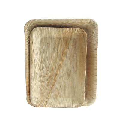 China Disposable Rectangular Custom Made Bamboo Dish Shape Tray Set Areca Eco Friendly Biodegradable Palm Leaf Wood for sale