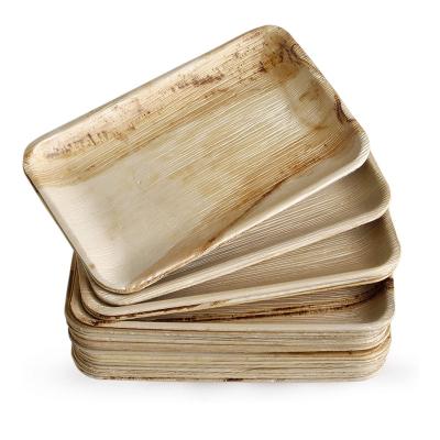 China 9*6 Inch Rectangle Eco-Friendly Biodegradable Food Safety Natural Disposable Palm Leaf Dishes for sale