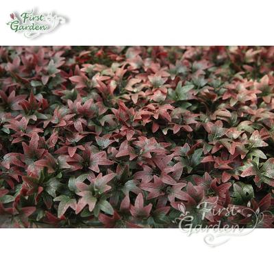 China Decoration Maple Leaf Lawn Artificial Plant Evergreen Plants For Decorating Wall Hotel Wedding Banquet for sale