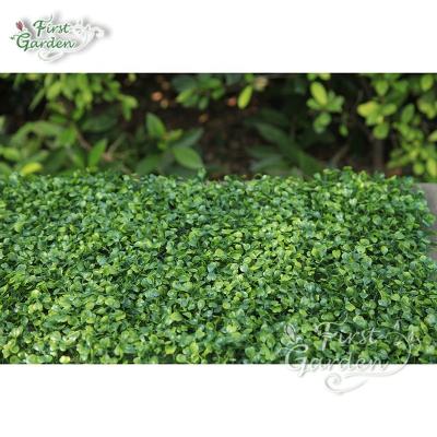 China Decoration Love Leaves Lawn Wedding Wall Decoration Artificial Evergreen Wholesale for sale