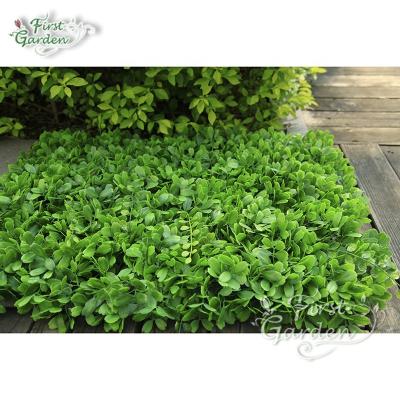 China Decoration Leaves Lawn Wedding Artificial Evergreen Wall Decor Wholesale for sale