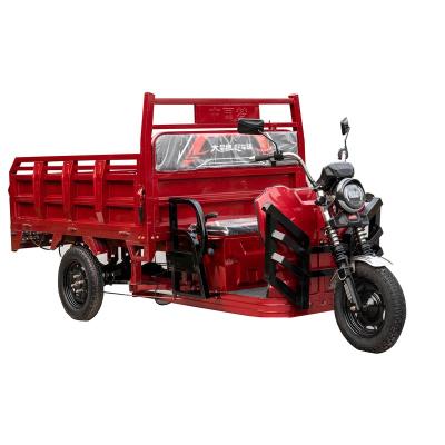 China Hot Selling High Quality Large Cargo Tricycle Electric 3 Wheel Trike Electric Trike For Cargo Delivery for sale