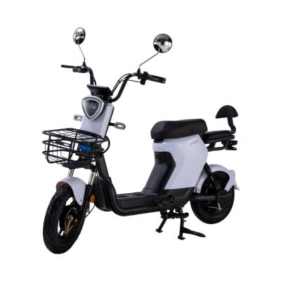 China Cheap New China Double Adult Electric Bicycle Ebike E Bikes 48V Adult Electric Bicycles For Sale Electric Bike for sale