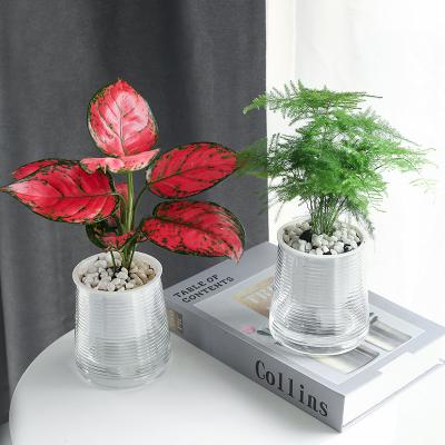 China Modern Automatic Flower Pots Water-absorbing Transparent Plastic Creative Flower Pots for sale