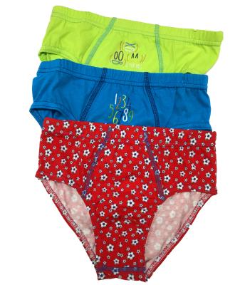 China Thermal Cute Cartoon All Over Printed Boys Briefs Kids Underwear for sale