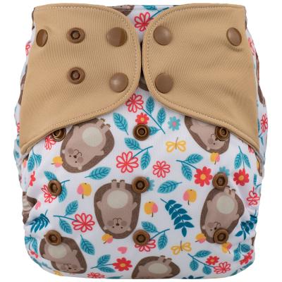 China ODM OEM Printed Ready to Ship Lichtbaby AIO Pocket Diaper Reusable Baby Cloth Diaper Class Eco-Friendly Factory Directly for sale