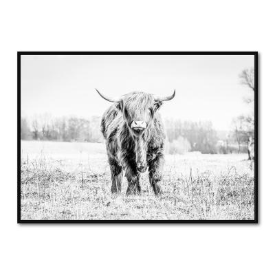 China 2022 modern highland cattle Art Wall Decoration Painting animal of new waterproof black and white canvas for sale