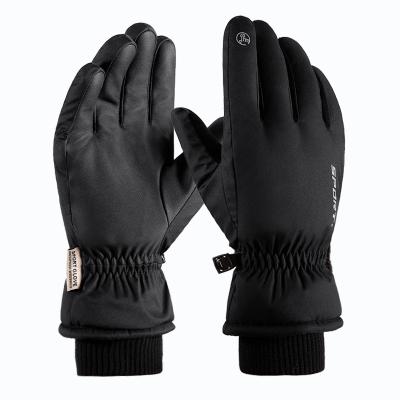 China Winter Breathable Waterproof Waterproof Ski Gloves Ski Screen Warm Snowmobile Waterproof Touch Winter Snow for sale