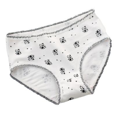 China Little Girls Youth School Panties Teen Cotton To Coft Cow Breathable Warm White Comfortable Underwear for sale