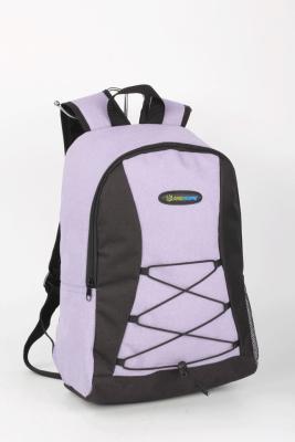 China Purple Polyester Backpack For Camping , Student Backpacks Softback for sale