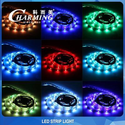 China 14W IP42 DC12V RGB LED Strip Light 10MM Width For Night Club for sale