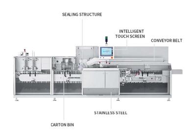 China 40-50 Boxes/Minute Carton Box Packing Machine For Hamburger Food Vegetables Golves for sale