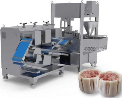 China High speed Dual Channel Factory Supply Automatic Durable Glutinous Rice Shaomai Machine For Sale for sale