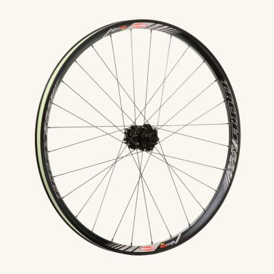 China SunRingle A.D.D. EXPERT Downhill extreme mountain bike wheelset rim width 30mm 142x12 for sale