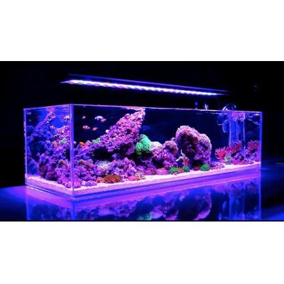 China Hot-selling Sustainable Wholesale Custom China Divider Acrylic Fish / Aquatic Plant Tank for sale