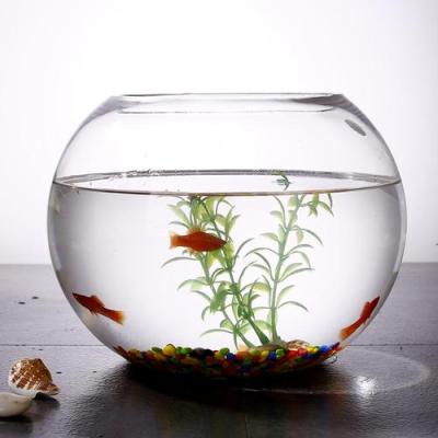 China 2021 NEW wholesale viable clear glass fish bowl glass aquarium glass, ball fish tank@ good quality for sale