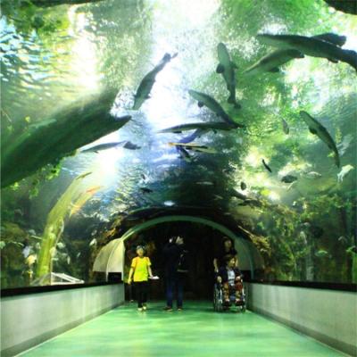 China Viable Large Custom Acrylic Tunnel Fish Tanks , Hot Selling Aquarium Tunnel@ for sale