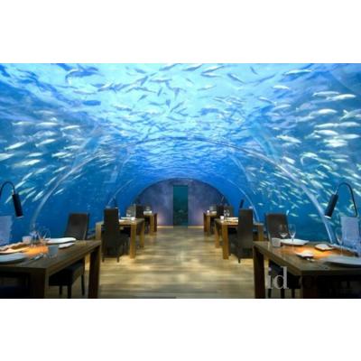 China Sustainable Customized U Shape Acrylic Tunnel For Waterscape Hotel Restaurant , Aqua Tunnel @ for sale