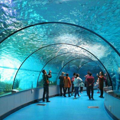 China Viable 90 180 Degree Acrylic Aquarium Tunnel , Large Acrylic Glass For Aquarium Tunnels In Ocean Parks for sale