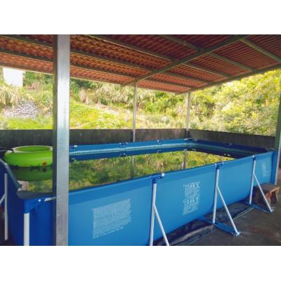 China chinese factory lucite imported 100% pvc bracket wholesale swimming pool in stock for sale