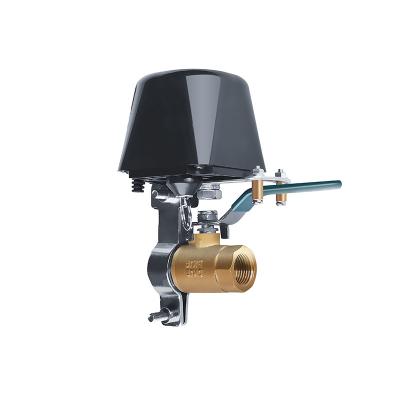 China GR-WV400T-1 WIFI TUYA Motorized Valve for sale