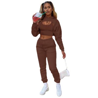 China Anti-Wrinkle Women's Clothing Sweatshirt Gym Pullover Hooded Bottom Running Shirt Thick Sweatpants Set Women's Hoodie for sale