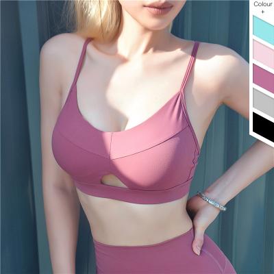 China Best Selling Antibacterial Pakistan Color Solid Padded Halter Adults Yoga Bra Natural American And European Style Women Sports Tops for sale