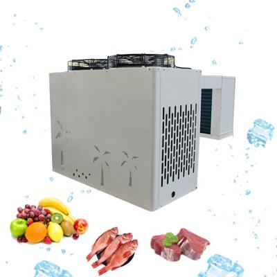 China Hotels Wall Mounted Monoblock Cooling System Small Cold Room Condensing Unit for sale