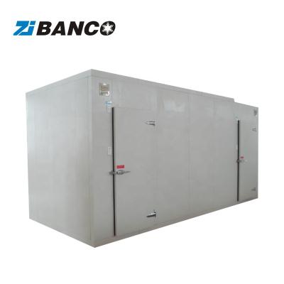 China Non-metal walk-in cooler, walk-in freezer, cold storage for fruits, meats for sale