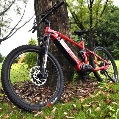 China Wholesale Aluminum Alloy Factory Lithium Battery E Bicycle Mtb Hidden Electric Mountain Bike With Display for sale