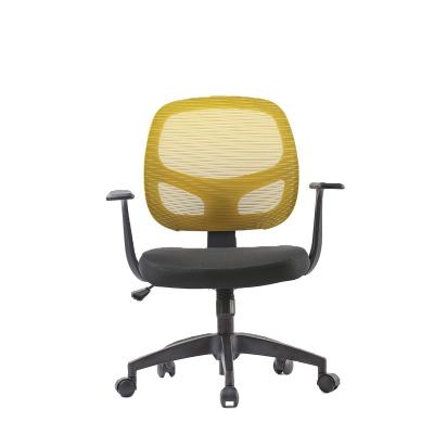 China (Size) Adjustable Lumbar Support Office Ergonimic School Student Apple Shape Lumbar Sacral Mesh Chair for sale