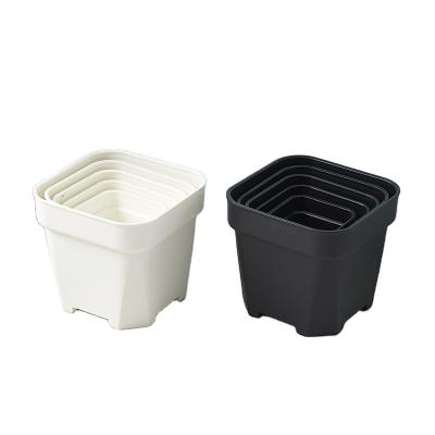 China Multi Extra Thick Square Family Square Shallow Family Square Gardening Plastic Gardening Decoration Frosted Fleshy Flower Pot for sale