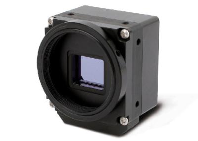 China Low Power Consumption Un - cooled Thermal Imaging Module For Hunting for sale