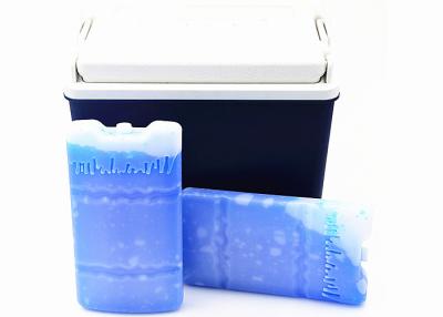 China 650 Ml Cooling Durable Long Lasting Ice Packs Plastic Shell Environmental Friendly For Food Frozen for sale