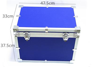 China Eco Friendly Medicine Control Temperature Vaccine Cold Storage Box 24L for sale