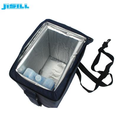 China Professional Small Insulated Vacuum Insulated Panel For Medicine Cool 4 L Capacity for sale