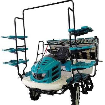 China Rice Transplanting 6 Rise Type Hot Selling 8 Row Drive Rice Planting Machine China KUBOTA Rice Transplanter for sale