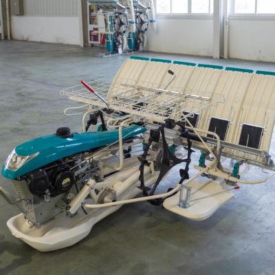 China Manual walking type paddy fields 6 rows rice planting machine kubota spare parts rice transplanter for sale