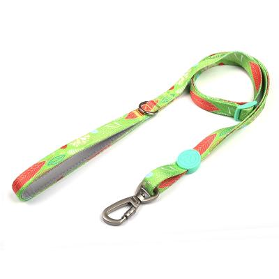 China Quick Release R Walk In Nature Series Dog Leash Polyester Dog Leash Luxury Premium Nylon Dog Traction Rope Fashionable for sale