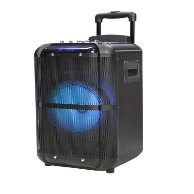 China Blue 8 Inch Portable Portable Trolley Karaoke Phone Function Party Tooth Speaker Tooth Stage Speaker Amplifier Active Wireless Module for sale