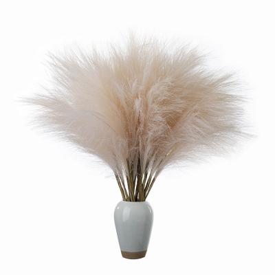 China Cloth Factory Direct Mini Pampas Reed Grass INS Wind Home Decor Wedding Wholesale simulation Artificial Flowers for sale