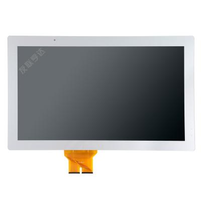 China Industrial Application Customized 7 8 10.1 10.4 12.1 13.3 15 15.6 17 17.3 18.5 19inch Project Screen LCD Display Module OEM Multitouch for sale