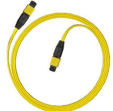 China Faser Optik-Patchcord MPO MTP zu verkaufen