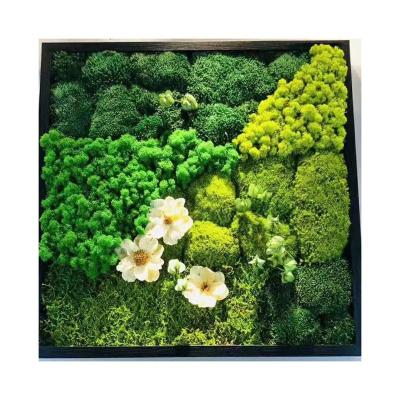 China Wedding moss cheap and high quality simulated moss wall plant white haired green artificial antler moss background wall for sale