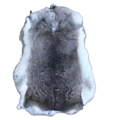 China 2022 Wholesale high quality natural skin color rex rabbit fur pelt soft for garment for sale