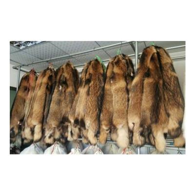 China Real Fur Raccoon Fur Skin /Fur Skin/Real Raccoon Material Fur Skin For Garment Fur Plates for sale