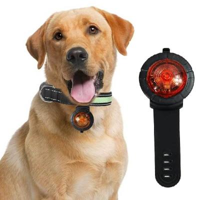 China New USB Anti-Lost Light JEWELED Waterproof Night Glow Led Dog Pet Collar Clip Tag Charging Up Collar Anti-Lost Light With Line for sale